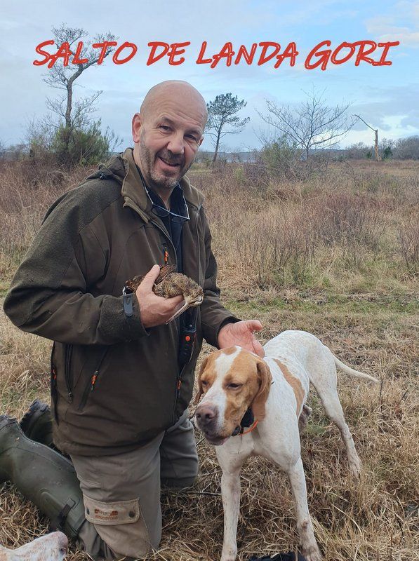 de landa gori - SALTO DE LANDA GORI : Chasse la bécasse HAUTES LANDES !