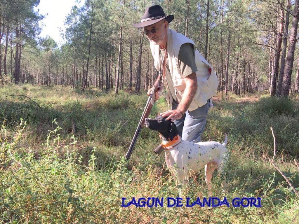 de landa gori - LAGUN DE LANDA GORI ..Chasse perdreaux !!!