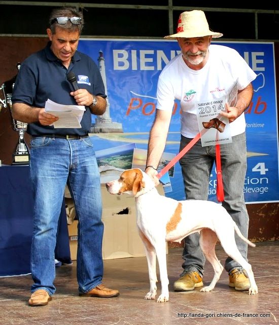 de landa gori - ESHER DE LANDA GORI ..;Titre de CHAMPION GIBIER TIRE !! Ne 2014