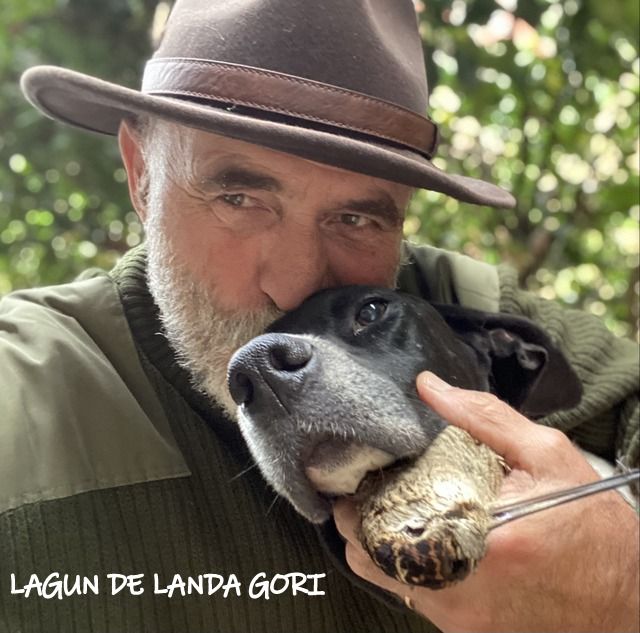 de landa gori - LAGUN DE LANDA GORI ;Chasse bécasse LANDES