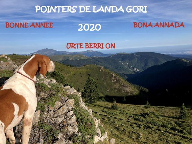 de landa gori - BONNE ANNEE 2020 !