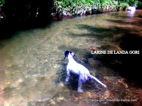 de landa gori - LARINE DE LANDA GORI..;Baignade et ..ARRÊT !!