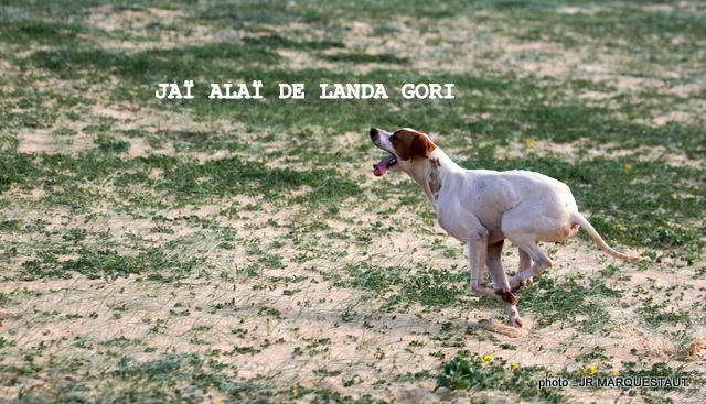 de landa gori - JAÏ-ALAÏ DE LANDA GORI...Training !!!