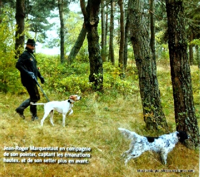 de landa gori - REVUE NATIONALE DE LA CHASSE mai 2013