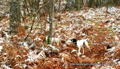 de landa gori - EGUN et HAKA DE LANDA GORI ...Training dans la neige  !!