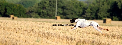 de landa gori - GIRO DE LANDA GORI ...Trophée des TEMPLIERS