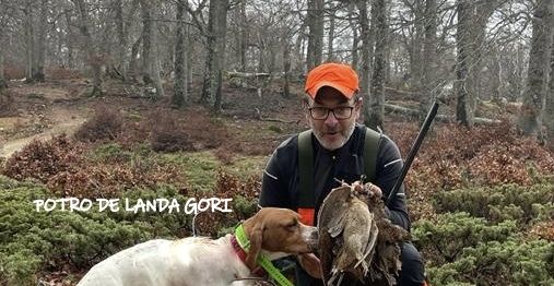 de landa gori - POTRO DE LANDA GORI ;Chasse la bécasse CORSE !