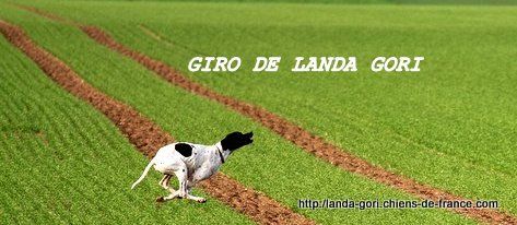 de landa gori - GIRO DE LANDA GORI..CACT grande quête SERBIE !!!