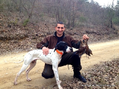 de landa gori - IBAR DE LANDA GORI...Chasse bécasses !