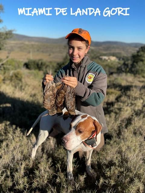 de landa gori - MIAMI DE LANDA GORI :Chasse la bécasse Montagnes PYRENEE !