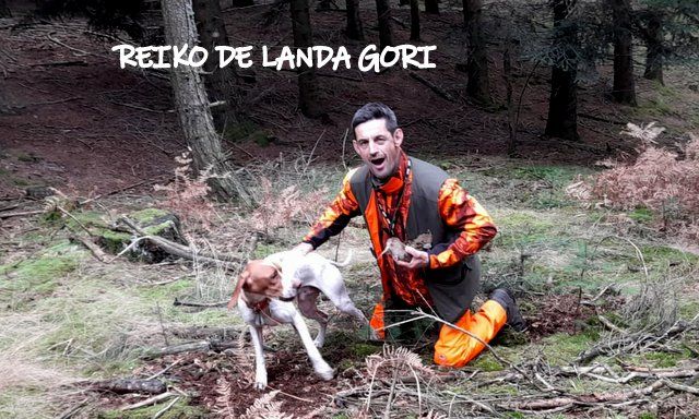 de landa gori - REIKO DE LANDA GORI :Chasse la bécasse DOUBS !