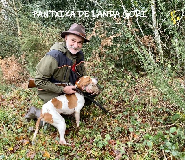 de landa gori - PANTXIKA DE LANDA GORI ;Chasse bécasses BRETAGNE !