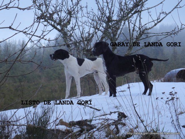 de landa gori - LISTO ET GARAY DE LANDA GORI..à ST AGREVE !!!