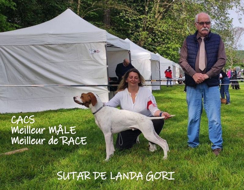 de landa gori - SUTAR DE LANDA GORI ;1er Excellent CACS Meilleur de RACE Sennecey '71)