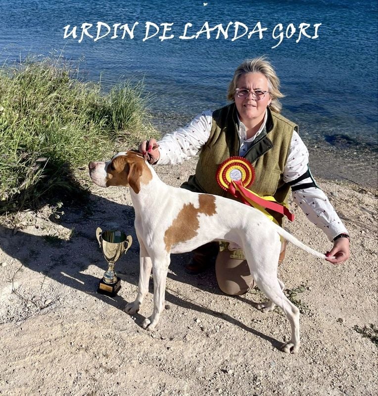 de landa gori - URDIN DE LANDA GORI/CACIB Martigues