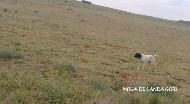 de landa gori - MUGA DE LANDA GORI :Entraînement montagne Espagne !