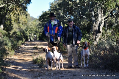 de landa gori - BOGA et BRICK dans le Var