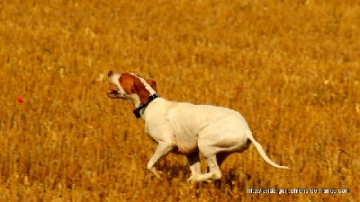 de landa gori - EGUN DE LANDA GORI