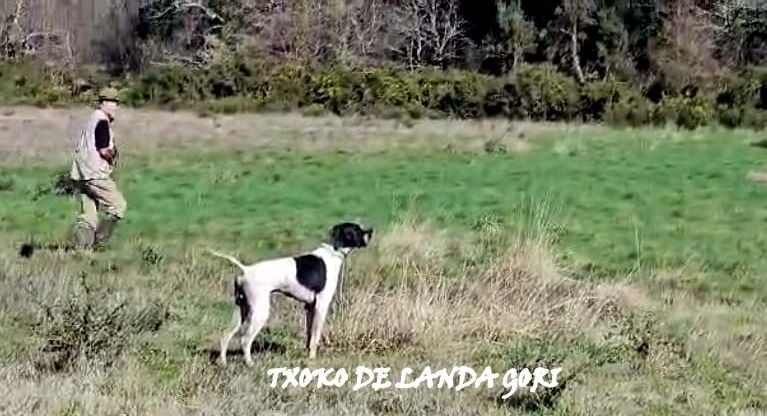 de landa gori - TXOKO DE LANDA GORI/Entraînement pour le printemps 