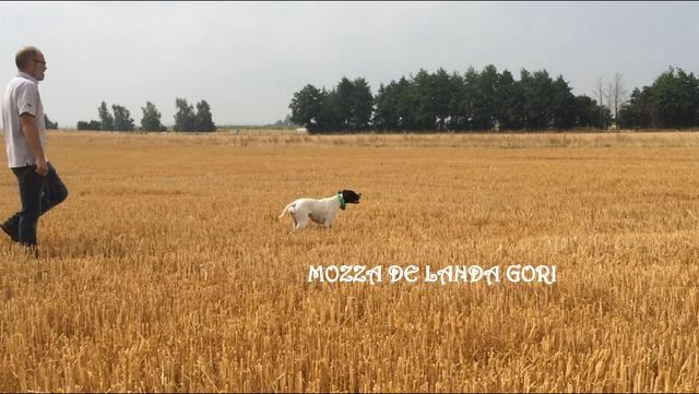 de landa gori - MOZZA DE LANDA GORI ..Entraînement ..!