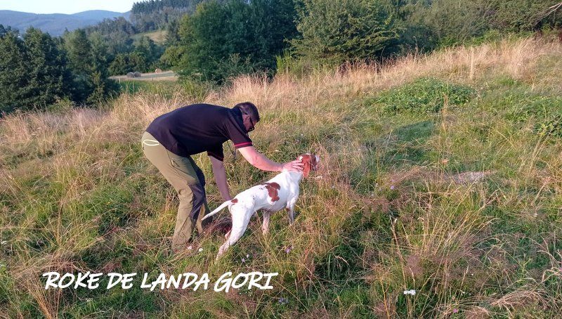 de landa gori - ROKE DE LANDA GORI ..TAN à SEMONS(38)