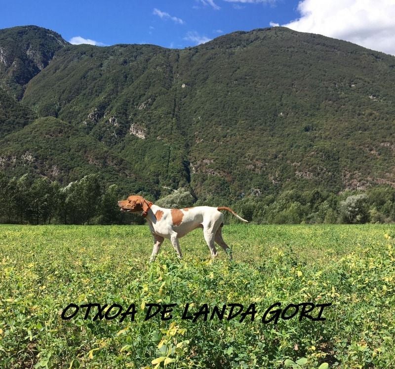 de landa gori - OTXOA DE LANDA GORI : Entraînement ITALIE!