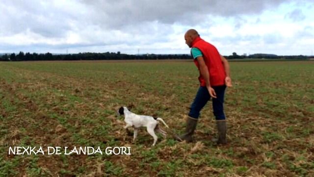 de landa gori - NEXKA DE LANDA GORI .3 mois .1er arrêt !!!