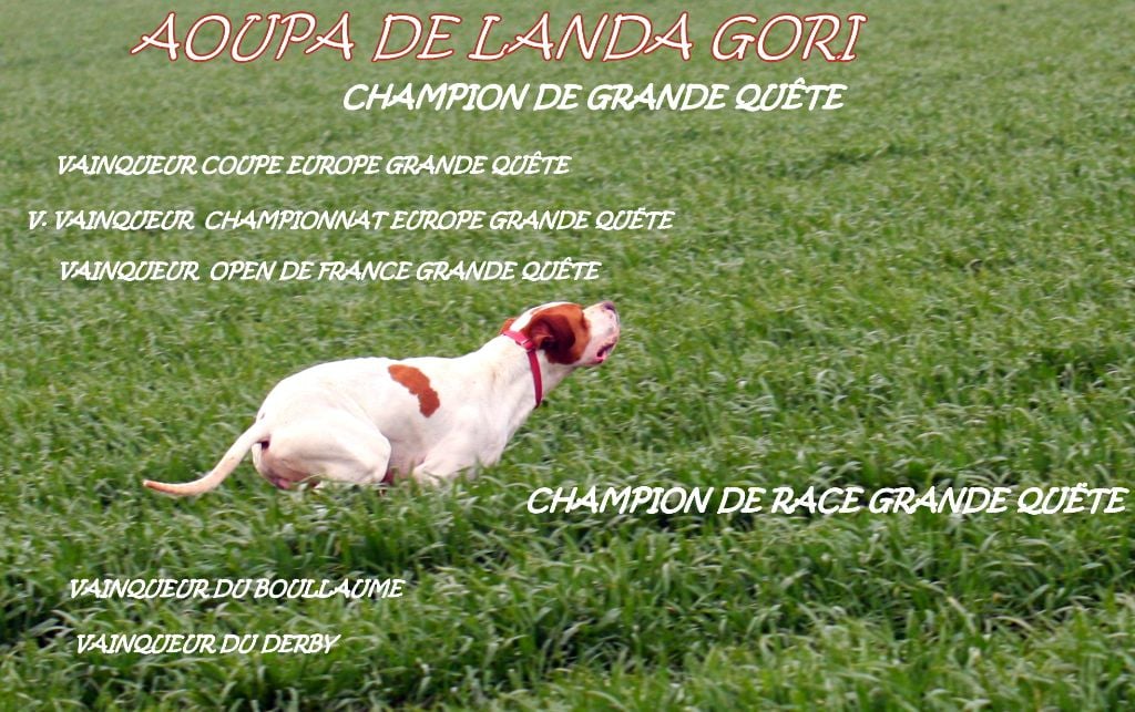 de landa gori - AUPA DE LANDA GORI ...!!!