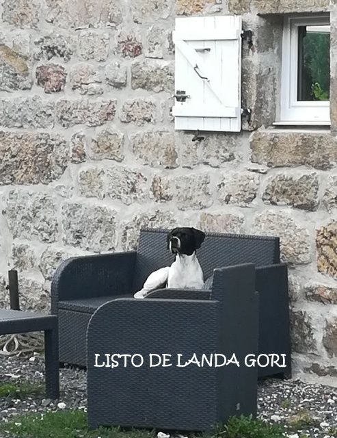 de landa gori - LISTO DE LANDA GORI .Repos avant ouverture !!