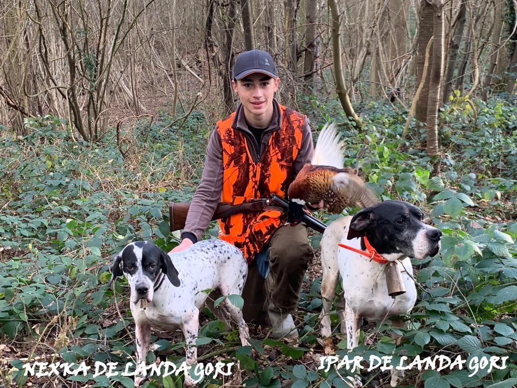 de landa gori - IPAR et NEXKA DE LANDA GORI :Chasse le faisan naturel AISNE !