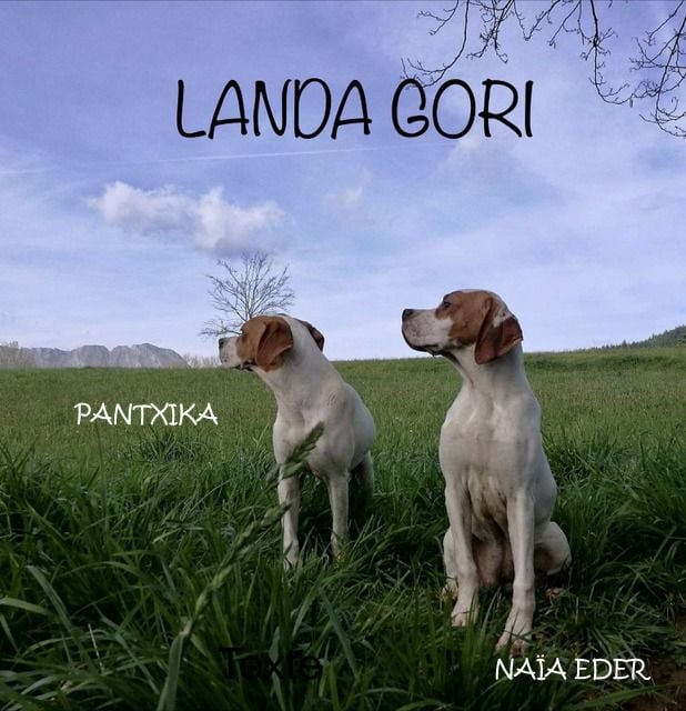 de landa gori - PANTXIKA et NAÏA EDER DE LANDA GORI !