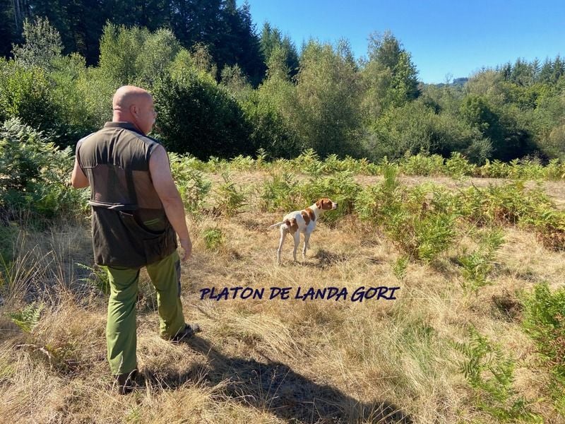 de landa gori - PLATON DE LANDA GORI :Entraînement sur "rouges'naturelles Puy d Dôme !