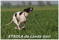 de landa gori - ETXOLA DE LANDA GORI  RCACT !!!