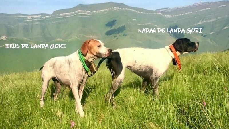 de landa gori - IKUS et NADAù DE LANDA GORI ;Entraînement montagne !