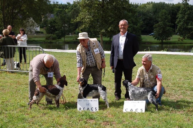 Des fossés de Javersy - 2015, l'année de IANA !!!