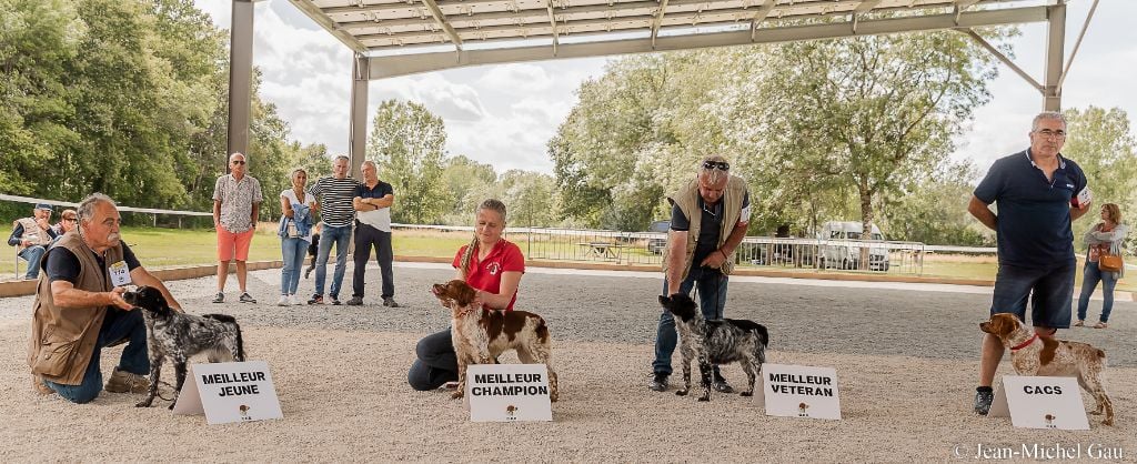 Des fossés de Javersy - Nationale d'élevage Selles Saint Denis 2024