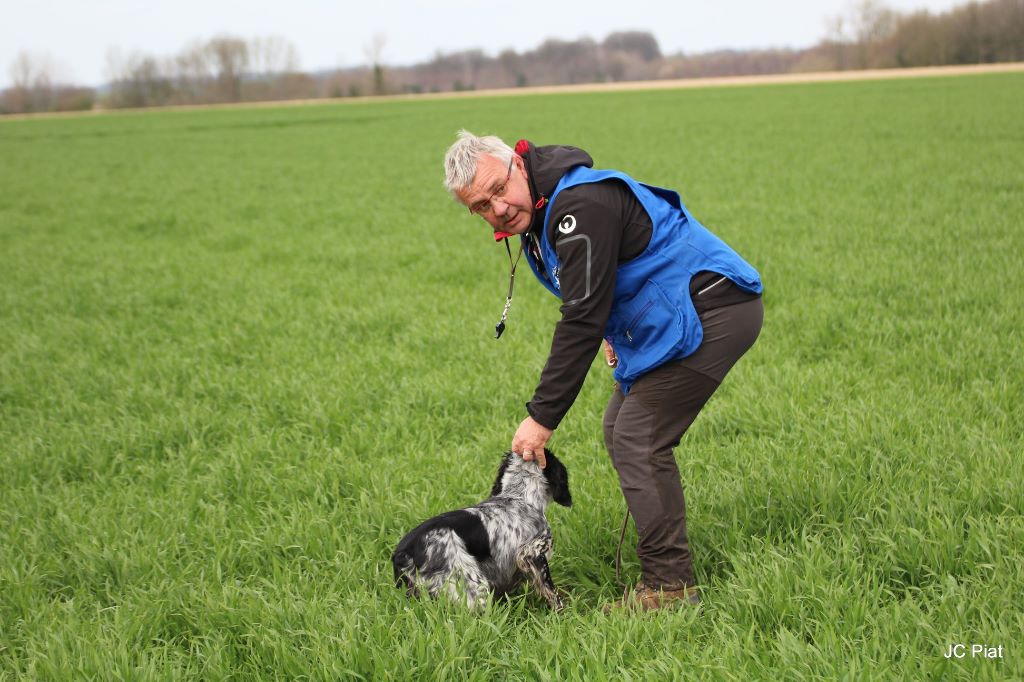 Des fossés de Javersy - ...et un 4ème Titre de champion pour IANA Des Fossés de Javersy !!!