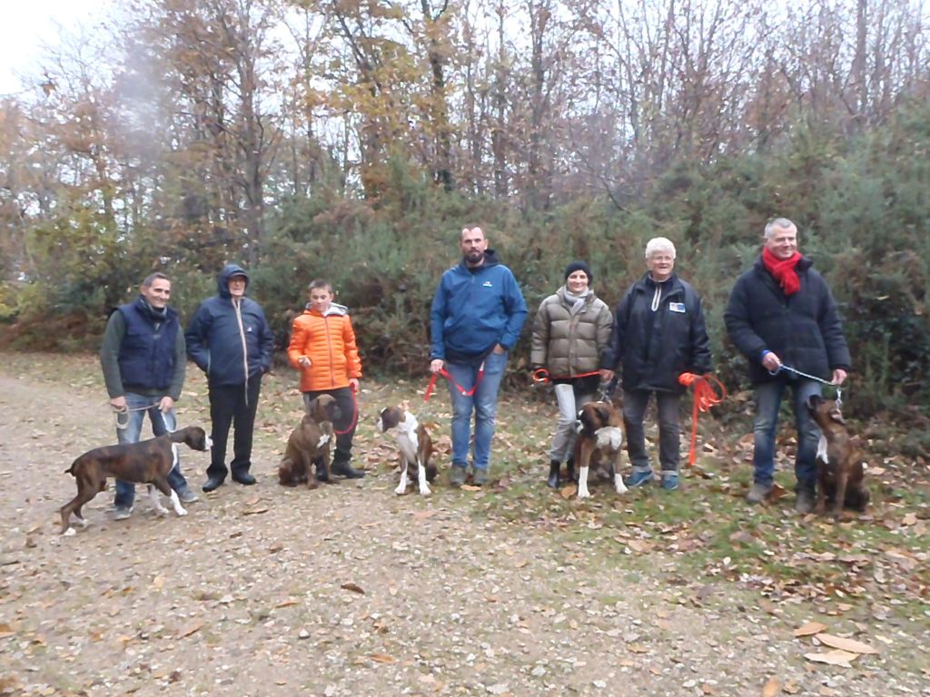 25 NOVEMBRE GRANDE JOURNÉE CHIOTS