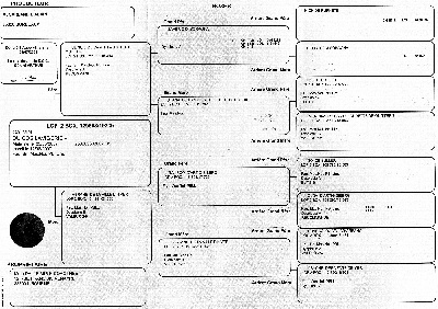 des Fidèles de l'Ile Intense - PEDIGREE DES ETALONS