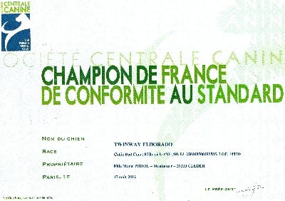 CHAMPION DE FRANCE