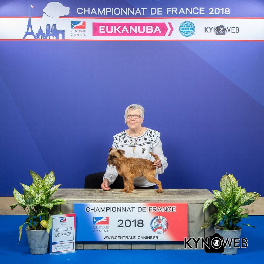 du square du p'tit quinquin - Zebulon Meilleur De Race au Championnat De France 2018