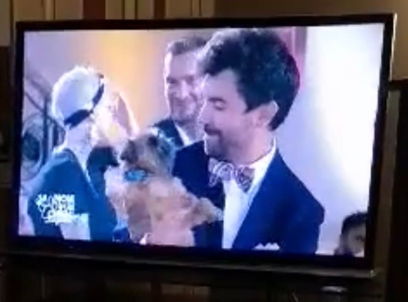 Bobette gagne le concours canin à la télévision belge !!