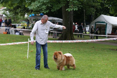 des Oursons de petit-palais - Akira a fait LE BEST IN SHOW à Libourne