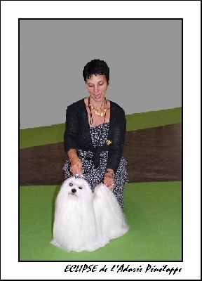 de L'Adoree Peneloppe - World Dog Show 10-07-2011 Paris