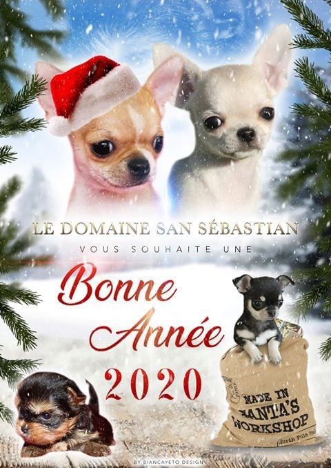 du Domaine San Sébastian - Bonne Année 2020