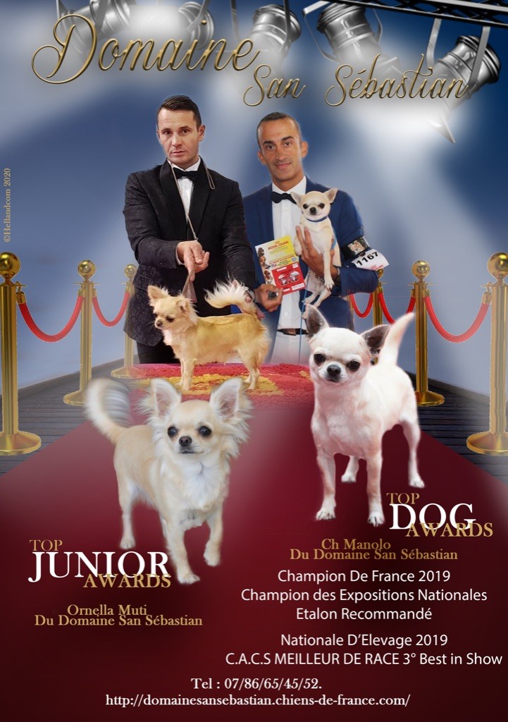 du Domaine San Sébastian - Classement Dog Revelation 2019 