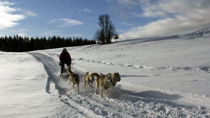 Du val de sherbrooke - champions nationaux et vice champions de France 2015 sprint neige!