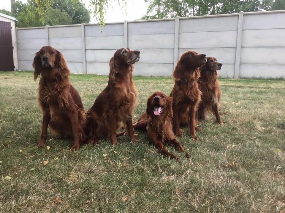 de la flache du pont - Le club des 5 en famille 