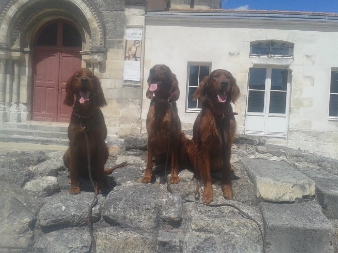 de la flache du pont - En vacance !!  Iris,Fleur et Draft