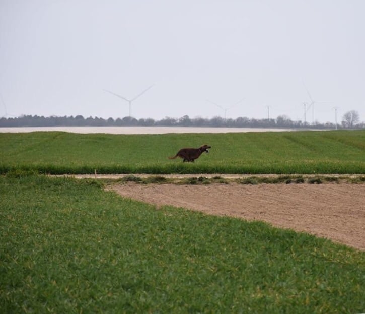 de la flache du pont - Isis fait un CACT à Torcy le Grand 10